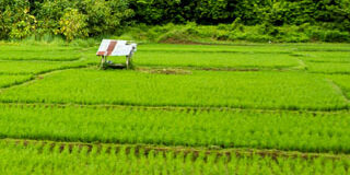 landbank