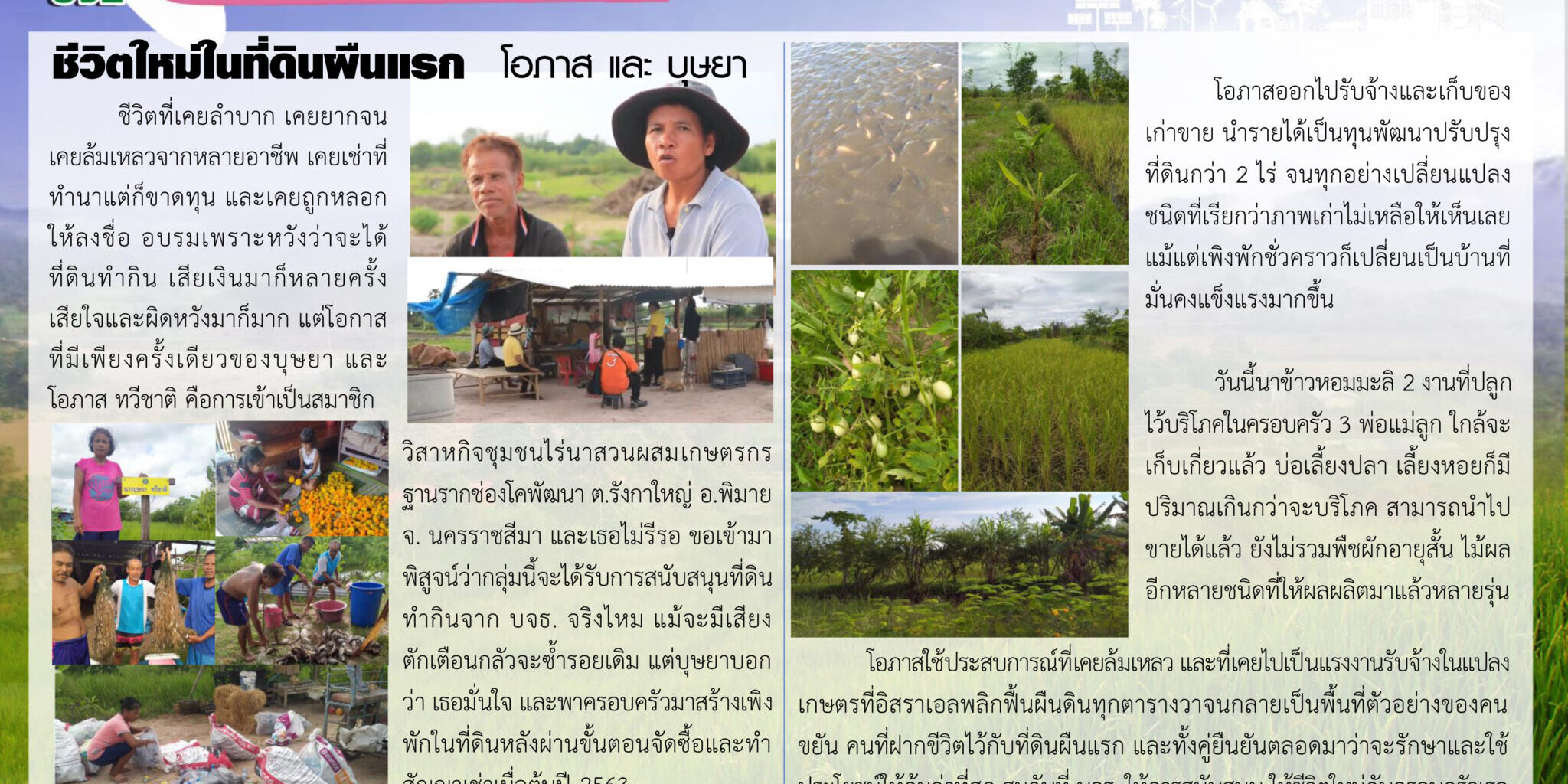 งานนำเสนอ PowerPoint